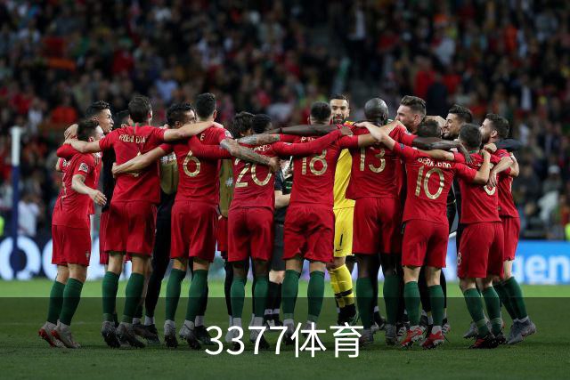 3377体育公司简介图片